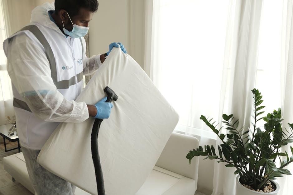 Upholstery and Sofa Cleaner in Wellingborough